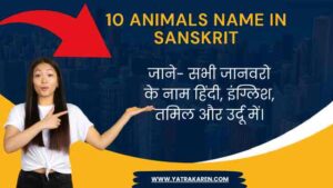 10-animals-name-in-sanskrit